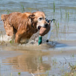 landco-land-for-sale-80jpg_34546476481_o