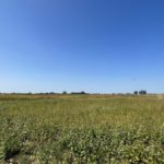 767B1D0C-4954-4E9F-B07F-19DEA72D8DAC_1_102_a