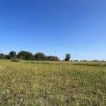 DDC81DDB-DF14-4BCA-9C74-FD2BB582AA1B_1_102_a