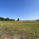 68E01F9C-7666-4EA2-9ECD-E9715C11C2C4_1_102_a