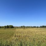 4BEADB39-139F-4F0B-8229-57D28DE97468_1_102_a