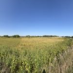 A8A19F11-366D-48C0-AE48-D28B5D75FBA9_1_105_c