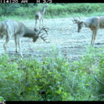 fulton-1473-trail-pics_8179388256_o