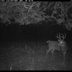 fulton-1473-trail-pics_8179388974_o