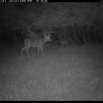 fulton-1473-trail-pics_8179390062_o