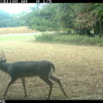 fulton-1473-trail-pics_8179387664_o