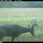 fulton-1473-trail-pics_8179385634_o