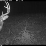 fulton-1473-trail-pics_8179385750_o