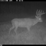 fulton-1473-trail-pics_8179385268_o