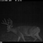 fulton-1473-trail-pics_8179385946_o