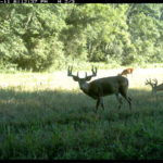 fulton-1473-trail-pics_8179382692_o