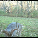 fulton-1473-trail-pics_8179383706_o