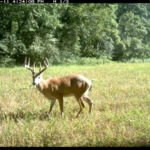 fulton-1473-trail-pics_8179383236_o-1