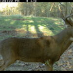 fulton-1473-trail-pics_8179382140_o