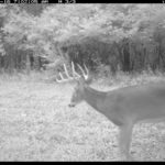 fulton-1473-trail-pics_8179382428_o