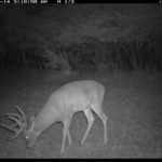 fulton-1473-trail-pics_8179384724_o