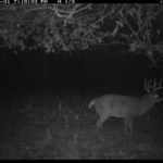 fulton-1473-trail-pics_8179382738_o