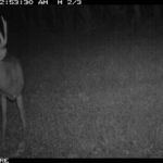 fulton-1473-trail-pics_8179382336_o