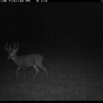 fulton-1473-trail-pics_8179381560_o