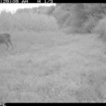 fulton-1473-trail-pics_8179384414_o