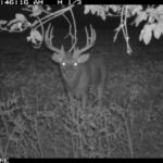 fulton-1473-trail-pics_8179381504_o