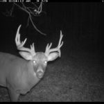 fulton-1473-trail-pics_8179381180_o