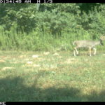 fulton-1473-trail-pics_8179358685_o