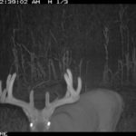 fulton-1473-trail-pics_8179356921_o