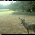 fulton-1473-trail-pics_8179356673_o