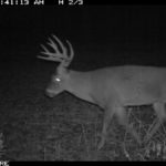 fulton-1473-trail-pics_8179378866_o-1