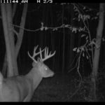 fulton-1473-trail-pics_8179356741_o