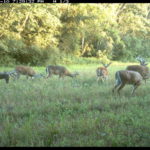 fulton-1473-trail-pics_8179353301_o