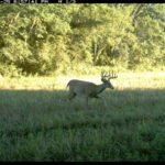 fulton-1473-trail-pics_8179352665_o