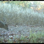 fulton-1473-trail-pics_8179355701_o