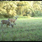 fulton-1473-trail-pics_8179353637_o