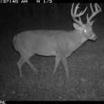 fulton-1473-trail-pics_8179352859_o