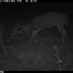 fulton-1473-trail-pics_8179354897_o