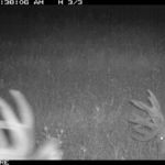 fulton-1473-trail-pics_8179352347_o