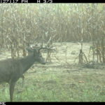 fulton-1473-trail-pics_8179350915_o