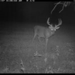 fulton-1473-trail-pics_8179350683_o