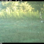 fulton-1473-trail-pics_8179350457_o