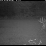 fulton-1473-trail-pics_8179351695_o