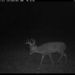 fulton-1473-trail-pics_8179350149_o