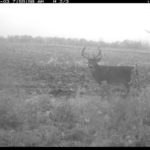 fulton-1473-trail-pics_8179350063_o