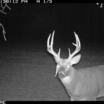 fulton-1473-trail-pics_8179350283_o-1