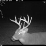 fulton-1473-trail-pics_8179349987_o