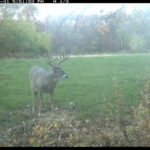 fulton-1473-trail-pics_8179348853_o