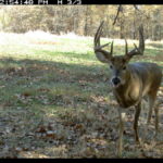 fulton-1473-trail-pics_8179348007_o-1