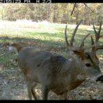 fulton-1473-trail-pics_8179347919_o-1