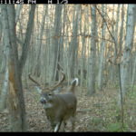 fulton-1473-trail-pics_8179348551_o-1